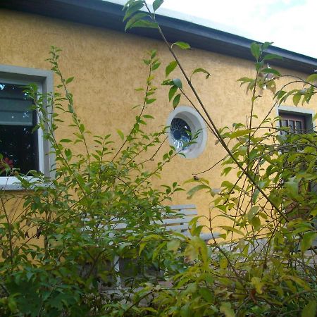 Ferienhaus Froehlich Albernau المظهر الخارجي الصورة